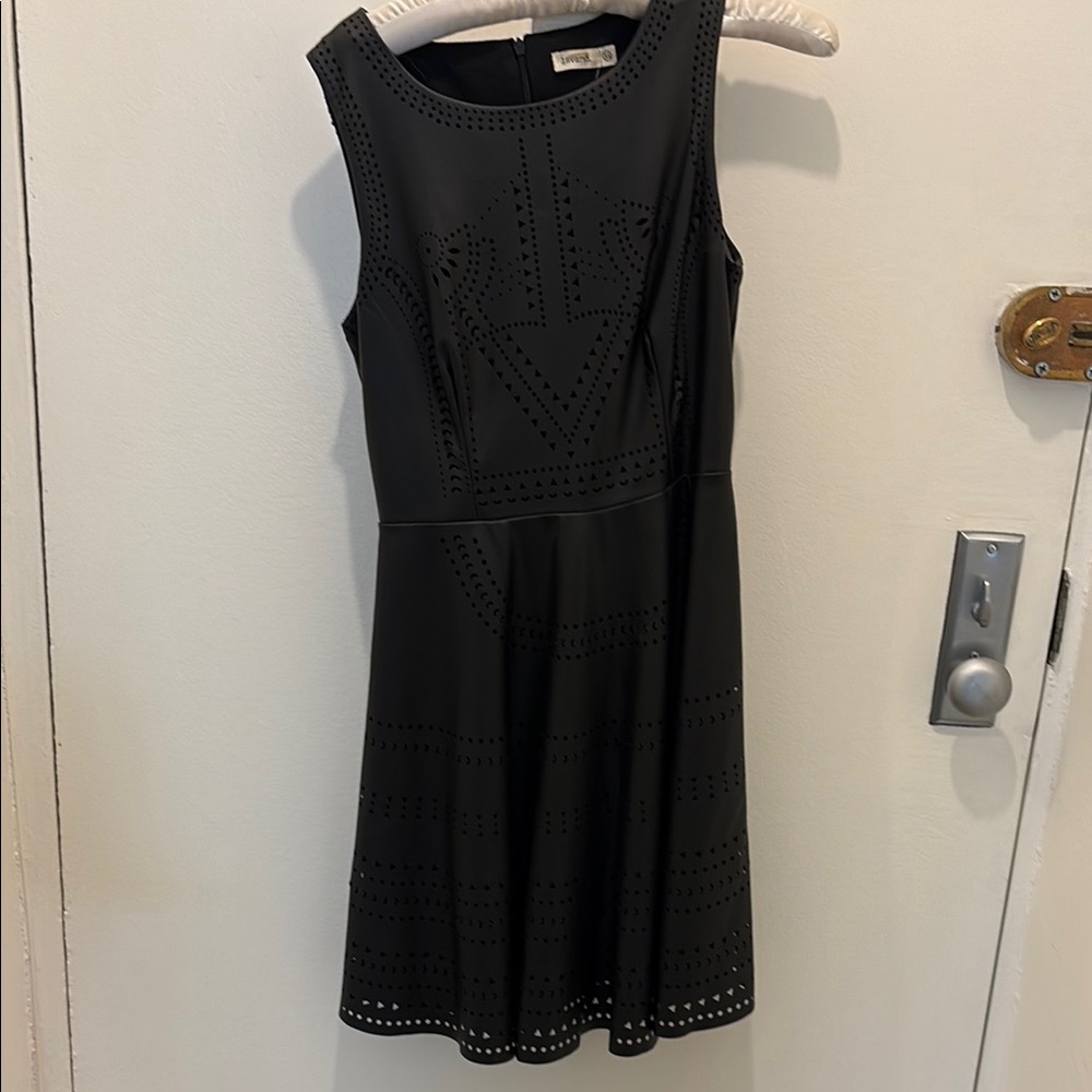 Black Sleeveless Fit and Flare Mini Dress faux leather